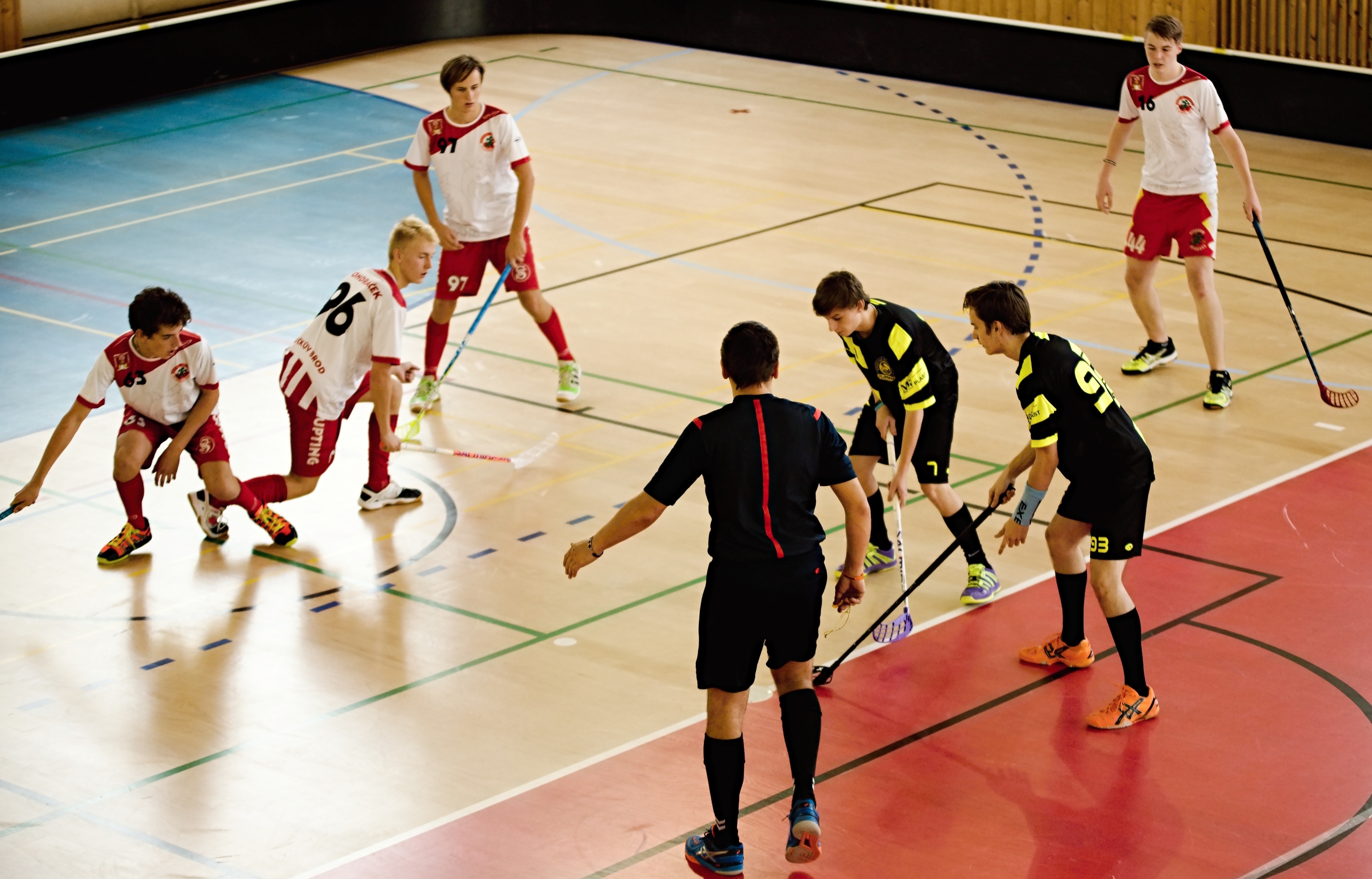 JunciLedec241015 025